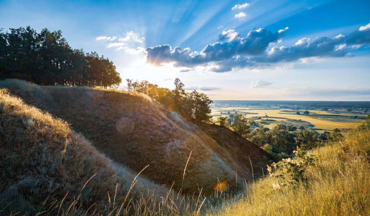 Od prawa rodzinnego po cywilne...