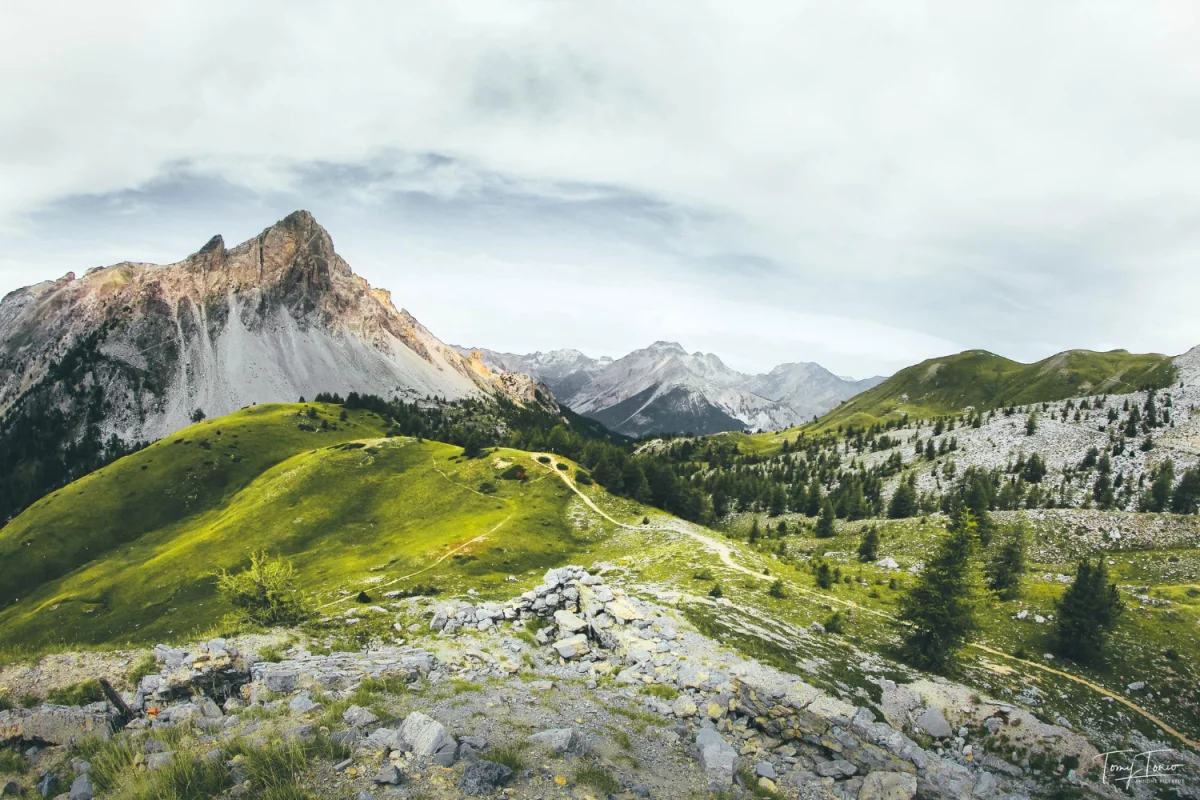 Czy szkolić się jest trudno?