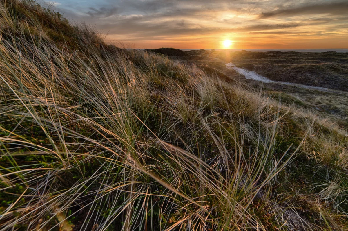 Funkcjonalne reklamy drukowane - naklejki, etykiety itp