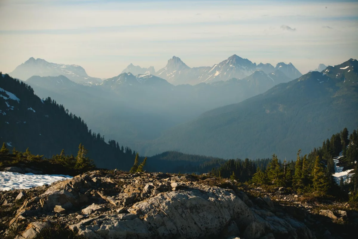 8 Zaskakująco Skutecznych Sposobów Aby wybudować domek