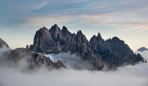 Czy da się w 2021  zamówić pokazy tańca Warszawa?