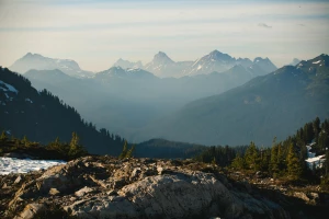 Oto Jak gotować wegańsko (i Jak Możesz To Skopiować)